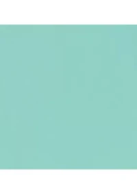 Men's All Over Stretch Regular Fit Button Down Shirt