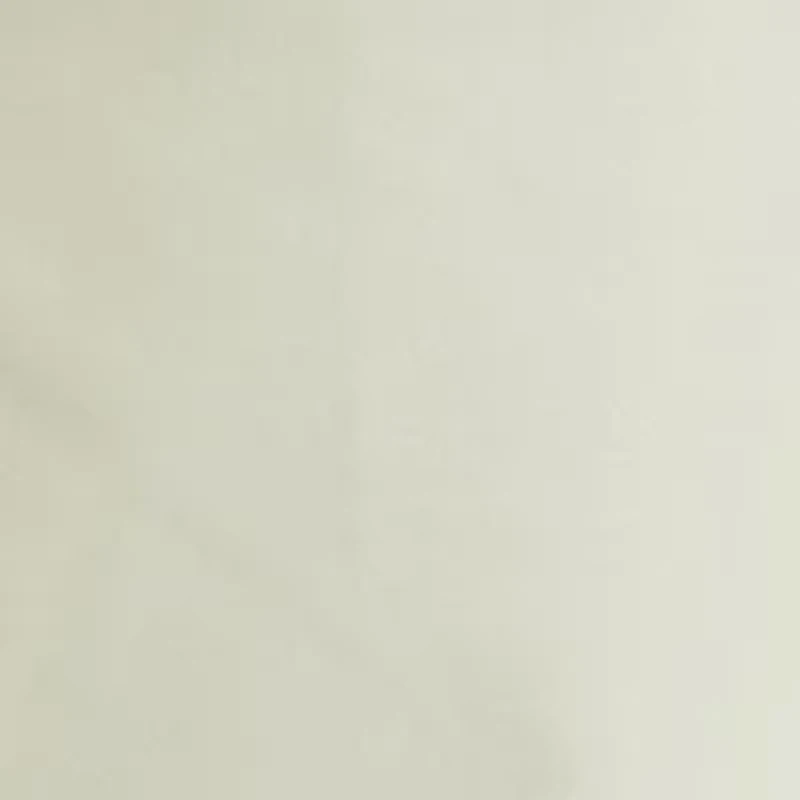 Saltwater Flat Front Chino Pants