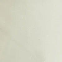 Saltwater Flat Front Chino Pants