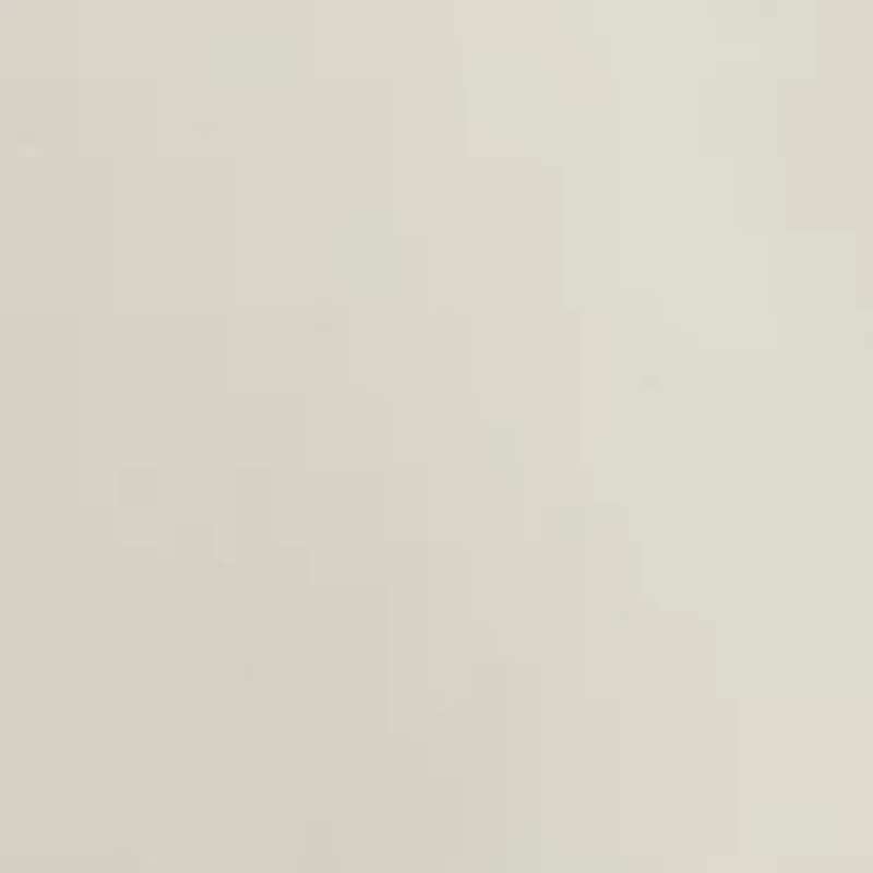 Saltwater Stretch Flat Front Slim Fit Chino Pants