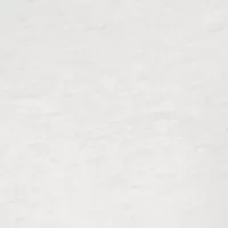 Long Sleeve Saltwater Graphic T-Shirt