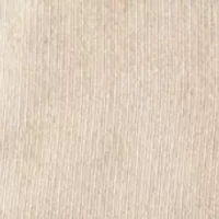 Big & Tall Long Sleeve Solid Corduroy Shirt