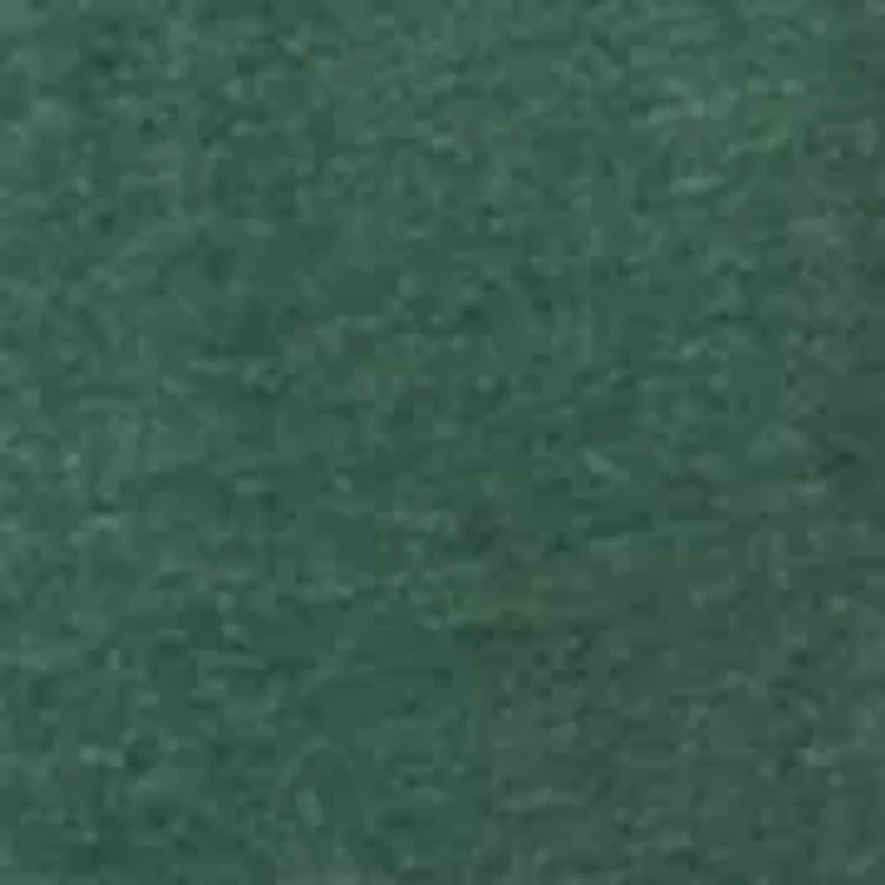 Big & Tall Shirt Sleeve Saltwater Graphic T-Shirt