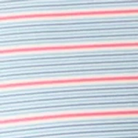 Big & Tall Short Sleeve Swingflex Multi Stripe Polo Shirt