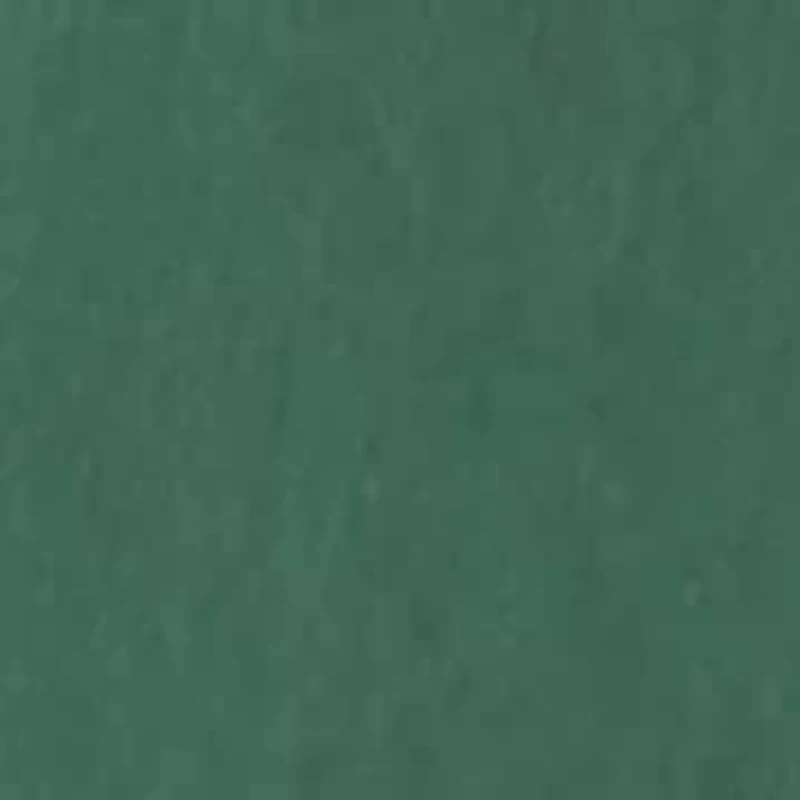 Flat Front Saltwater Shorts