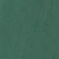 Flat Front Saltwater Shorts