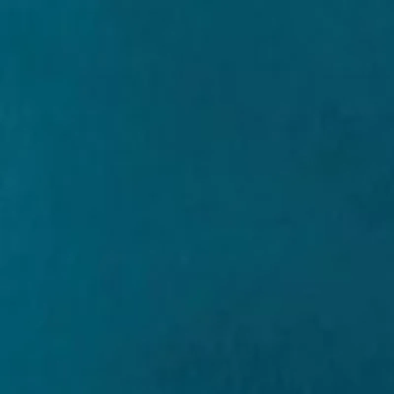 Flat Front Saltwater Shorts