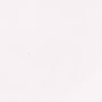 Big & Tall Men's Saltwater Flat Front Chino Shorts