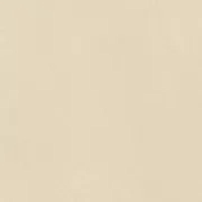 Big & Tall Men's Saltwater Flat Front Chino Shorts