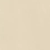 Big & Tall Men's Saltwater Flat Front Chino Shorts