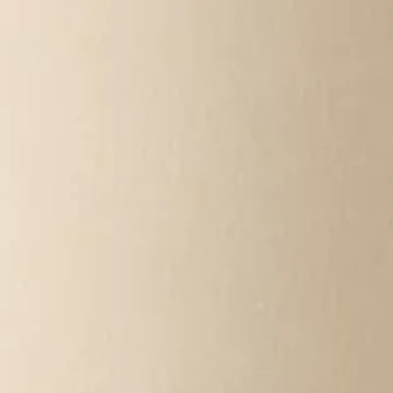 Men's 5 Pocket Pants