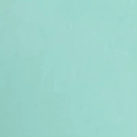 Flat Front Saltwater Twill Shorts - 9.5” Inseam