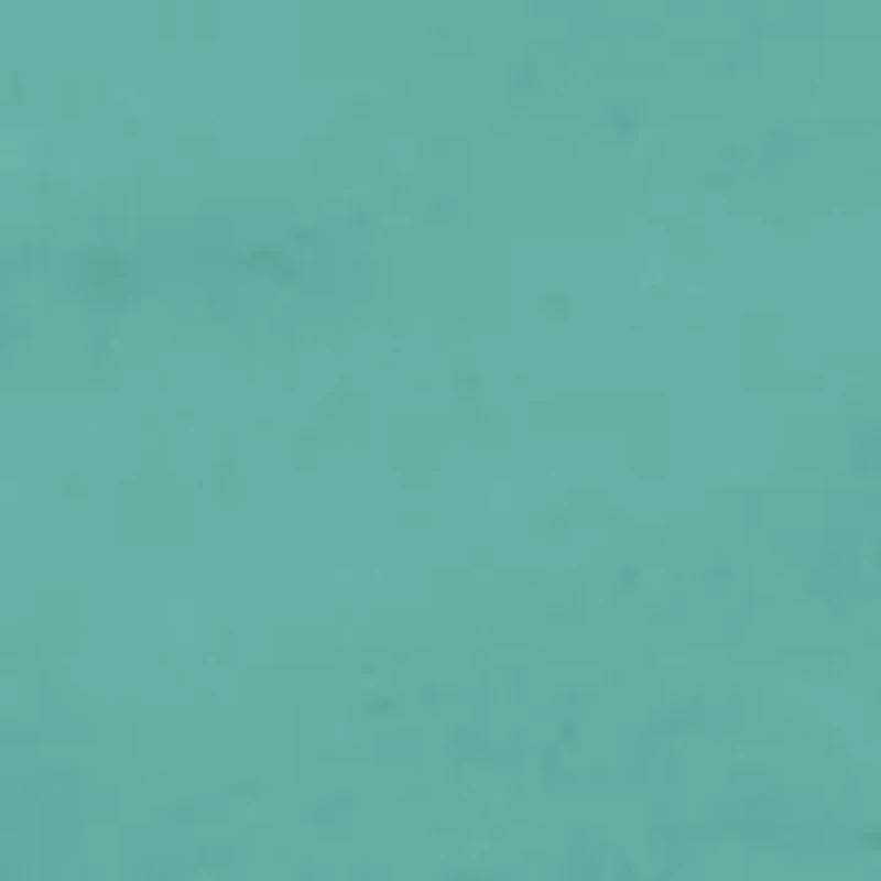 Saltwater Pigment Dyed Cargo Shorts