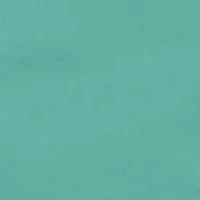 Saltwater Pigment Dyed Cargo Shorts