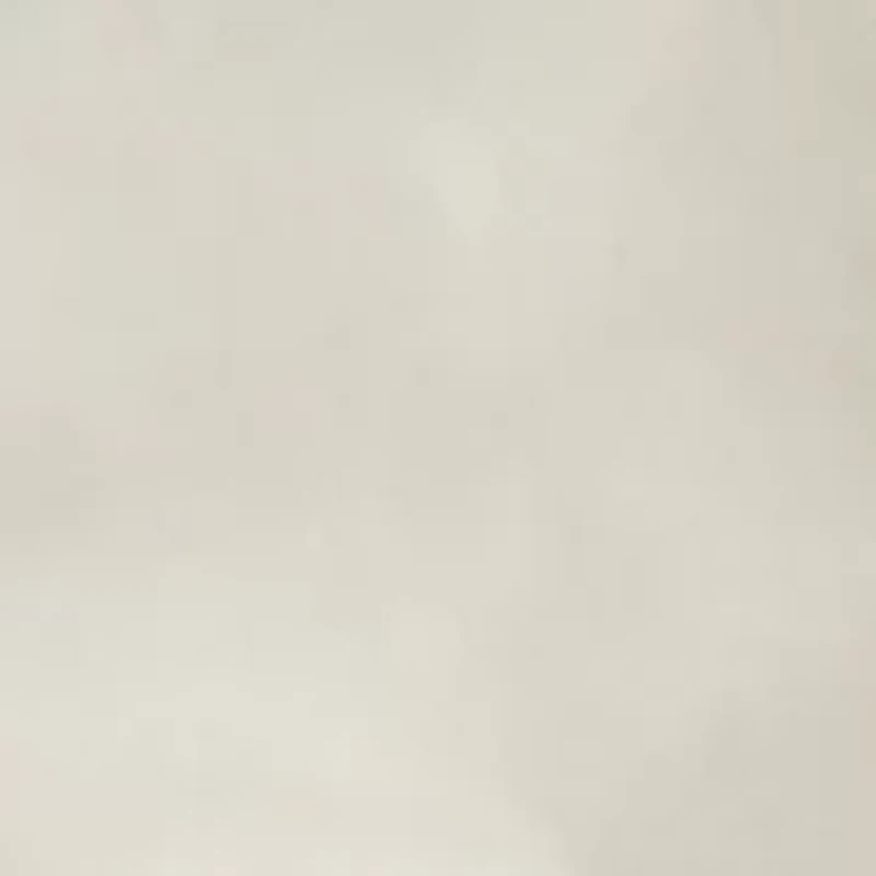 Big & Tall Flat Front Saltwater Nylon Pigment Dyed Cargo Shorts