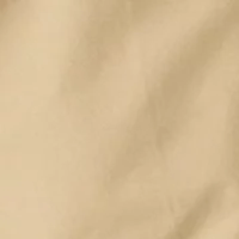 Big & Tall Flat Front Saltwater Nylon Pigment Dyed Cargo Shorts