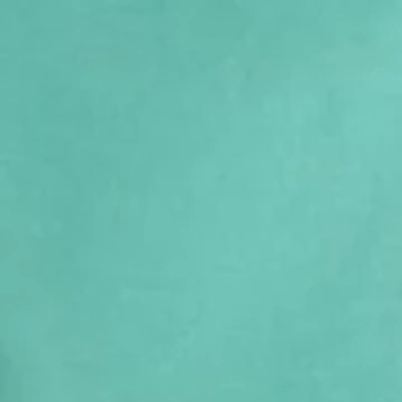 Big & Tall Flat Front Saltwater Nylon Pigment Dyed Cargo Shorts