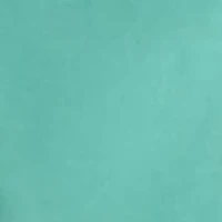 Big & Tall Flat Front Saltwater Nylon Pigment Dyed Cargo Shorts