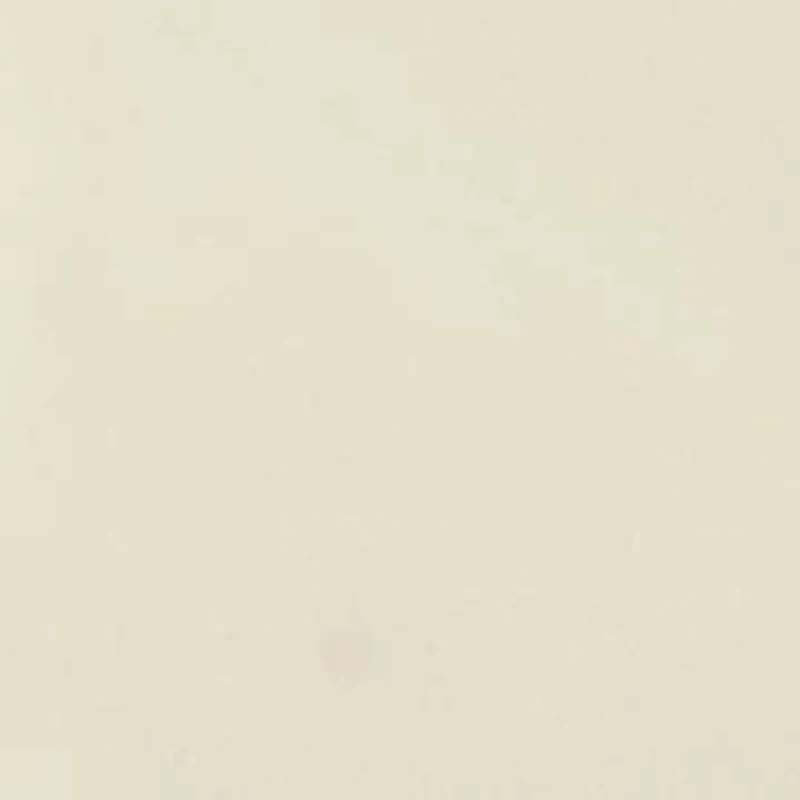 Big & Tall Golf Swingflex Cargo Shorts