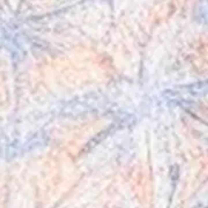 Big & Tall Dockside Floral Print Button Down Shirt