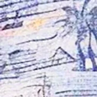 Big & Tall Dockside Tropical Print Button Down Shirt