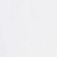 Big & Tall Classic Lux Long Sleeve Button Down Shirt