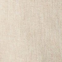 Men's Linen Blend Solid Pants