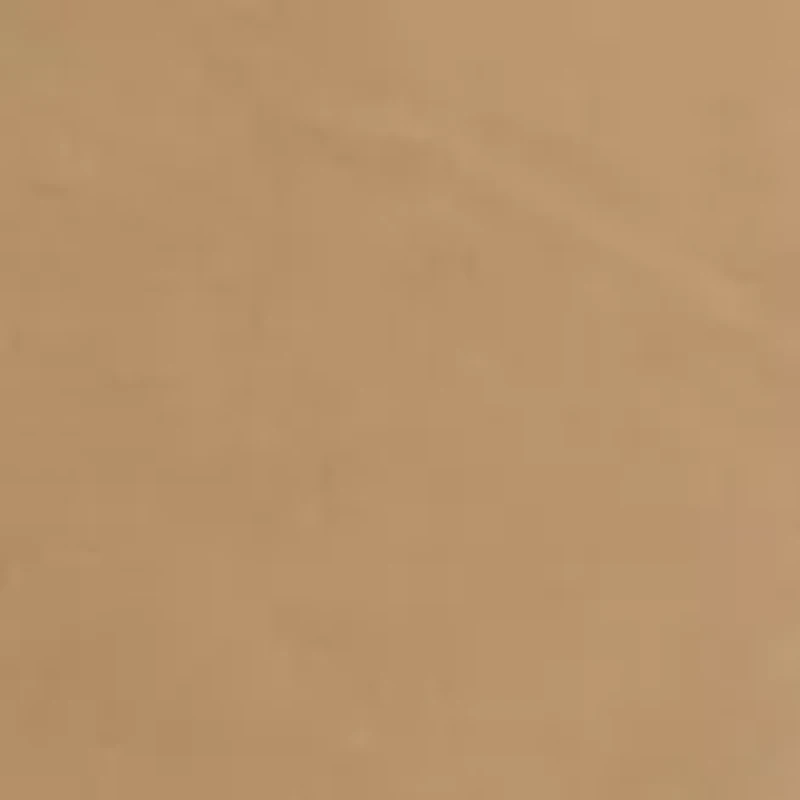 Men's Washed Twill Shorts