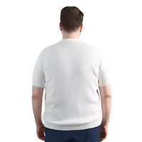 Big & Tall Haggar® Men's Johnny Collar Slim Fit Ribbed Sweater