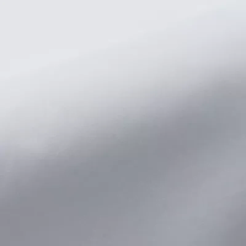 Big & Tall Men's Premium Comfort Classic Fit Dress Shirt