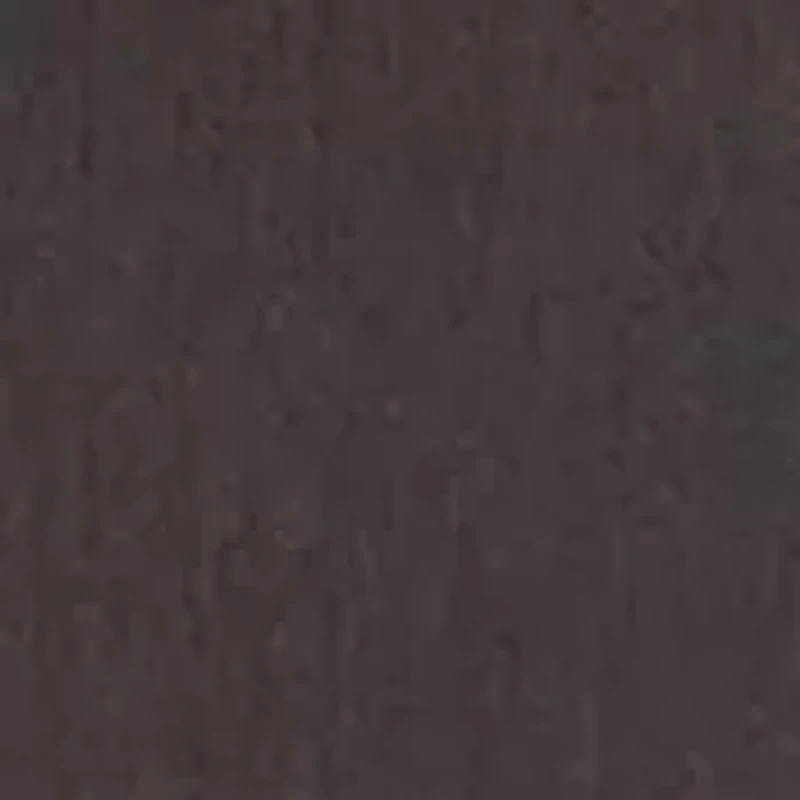 Men's AC Boardwalker Lined Shorts