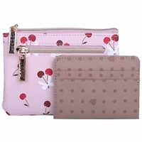 DOPP Large ID Coin Case