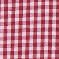 Mini Check Shirt