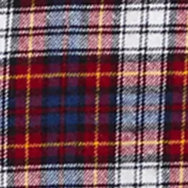 Big & Tall Plaid Printed Flannel Shirt