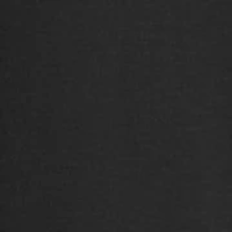 Shield Punisher Graphic T-Shirt