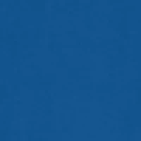 Tail Chasers Short Sleeve Graphic T-Shirt