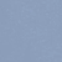 Flying South Short Sleeve Graphic T-Shirt