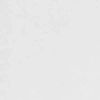 Short Sleeve Bottoms Up Graphic T-Shirt