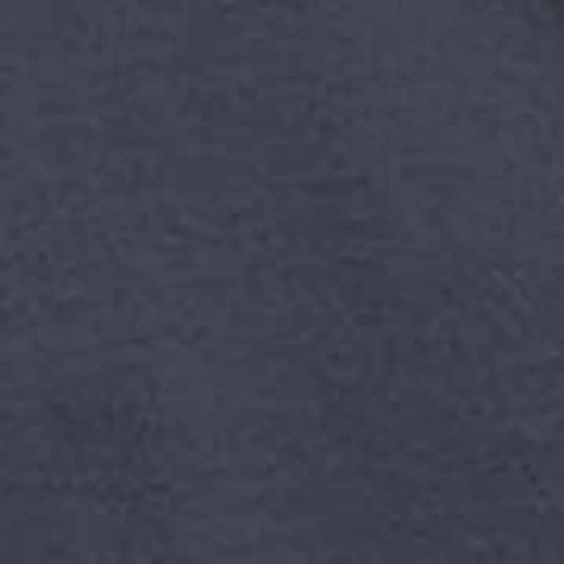 Camping Dog Long Sleeve Graphic T-Shirt