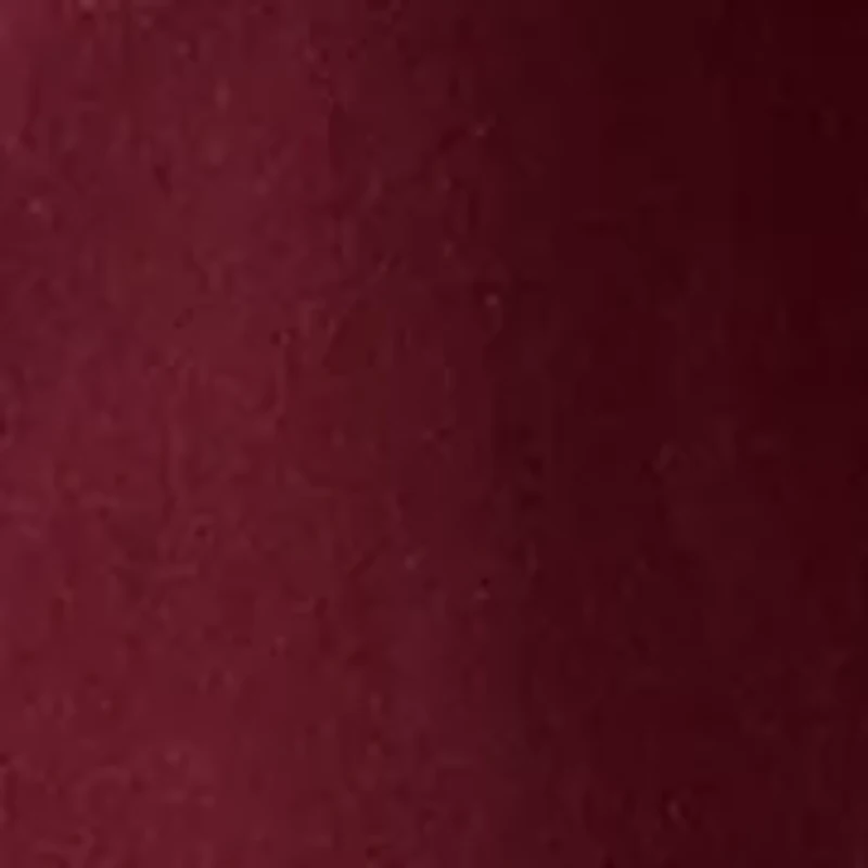 Men's Lake Life Dog Hoodie