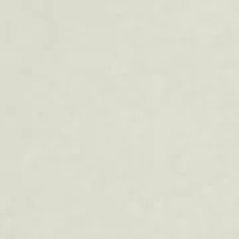 South Calling Short Sleeve Graphic T-Shirt