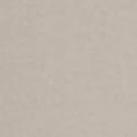 Men's Short Sleeve Down South Graphic T-Shirt