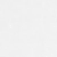 Short Sleeve Graphic T-Shirt