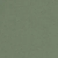 Park It Graphic T-Shirt