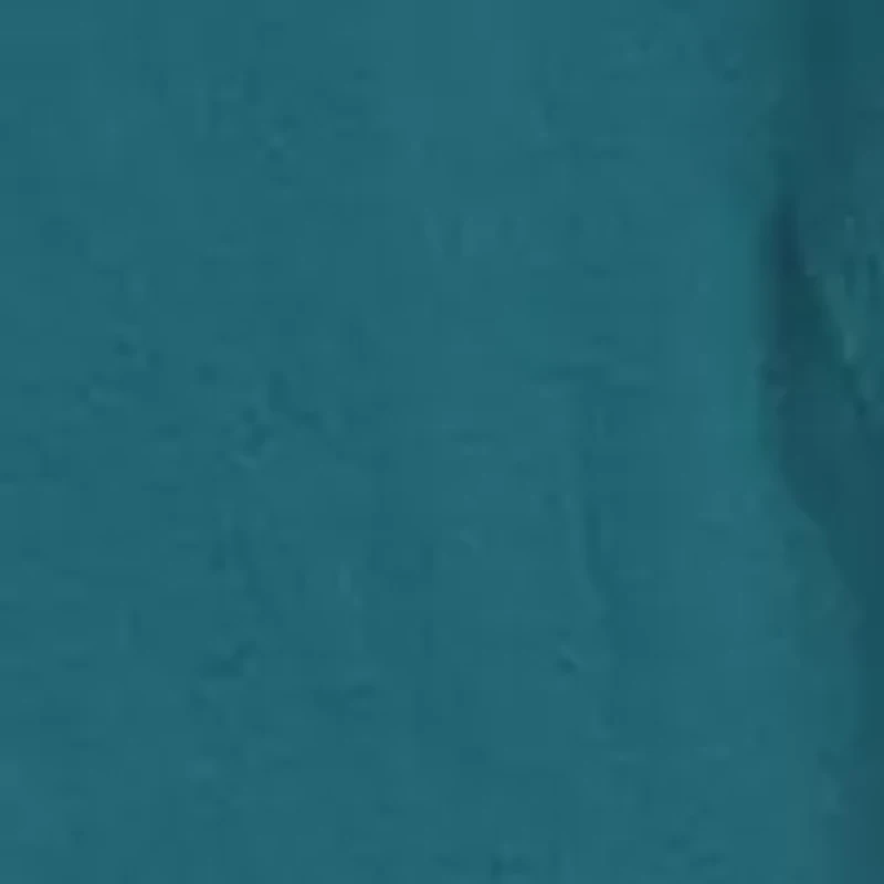 South Fall Color Long Sleeve Graphic T-Shirt