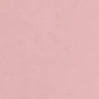 Men's Dog Beach Graphic T-Shirt