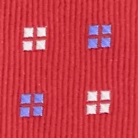Small Neat Tie
