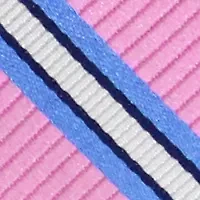Stripe Printed Tie