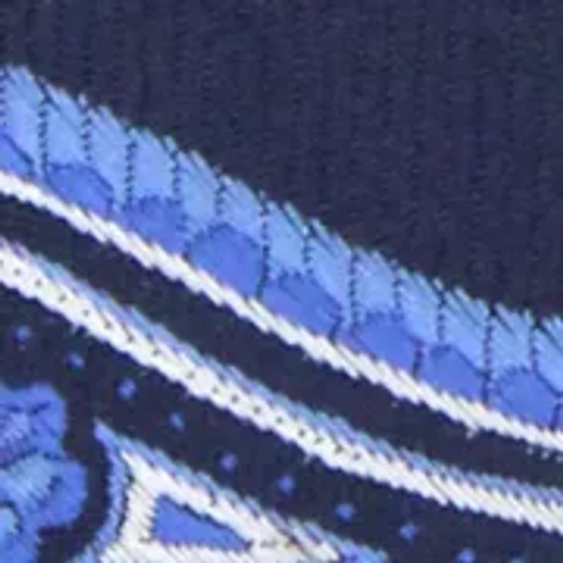 Big & Tall Paisley Tie