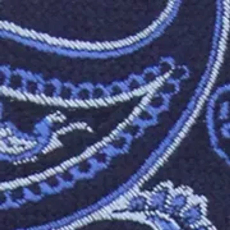 Perfect Paisley Tie